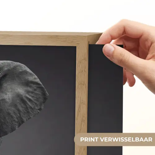 Olifant - Zwart - Wit - Rook Light Box met batterij (Wandlamp) middel -USP_websiteprintNL
