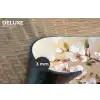 Bloesemtakken - Schilderachtig - Roze Placemat vinyl groot -closeup