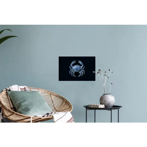 Krab - Delfts blauw - Dieren Muursticker klein -plant