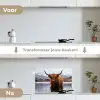 Schotse hooglander - Bruin - Water keuken achterwand spatscherm klein -voor_na_NL