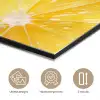 Citroen - Geel - Zonnig aluminium wit klein -closeup_NL