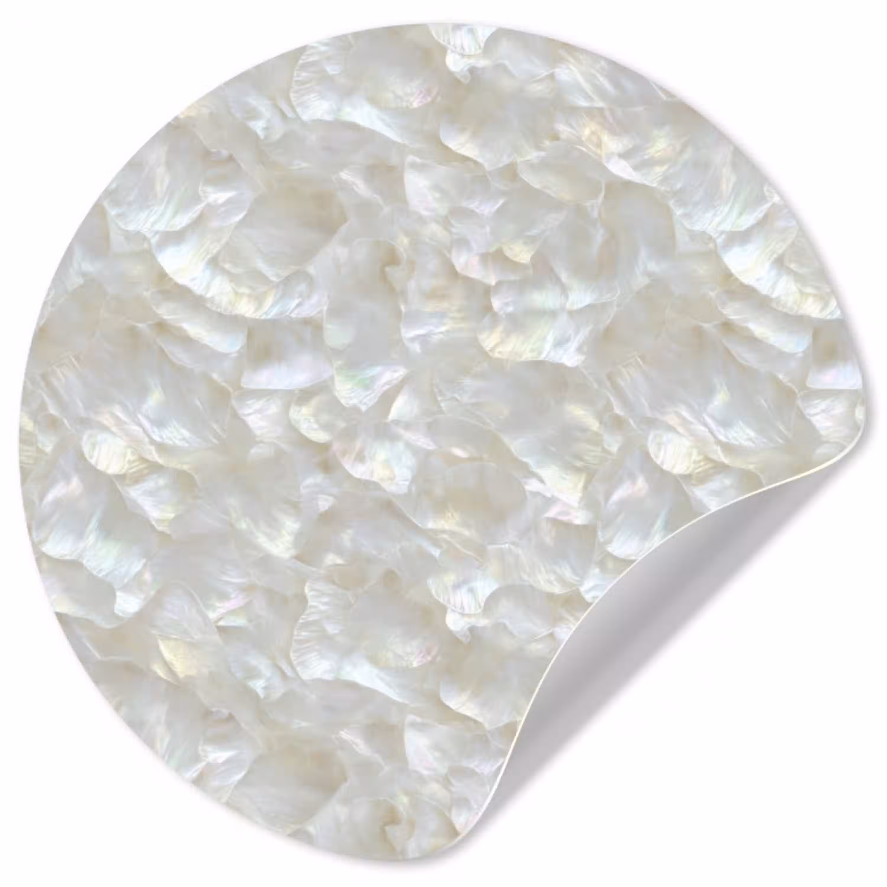 Parelmoerglans - Wit - Schelp Wandcirkel behangsticker klein 186 -3d