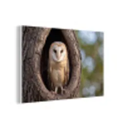 Kerkuil - Boom - Natuur - Bruin forex 5mm xxl -3d