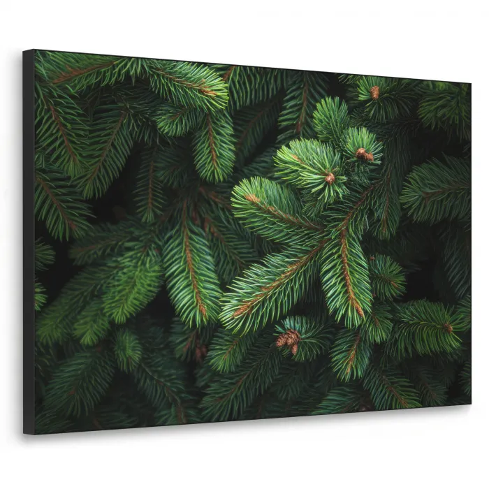Sparrentakken - Knoppen - Naalden - Groen Textielframe zwart klein -3d