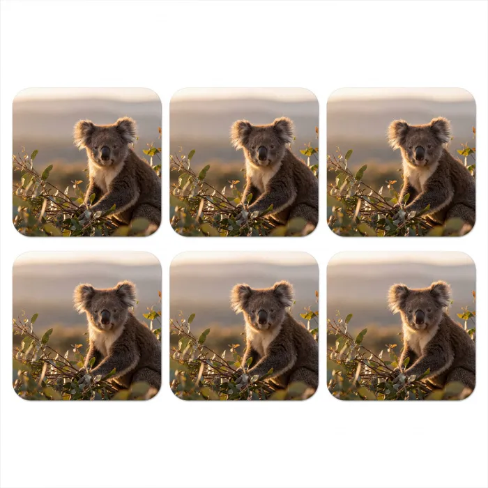 Koala - Bladeren - Ochtendlicht onderzetter kurk middel -3d
