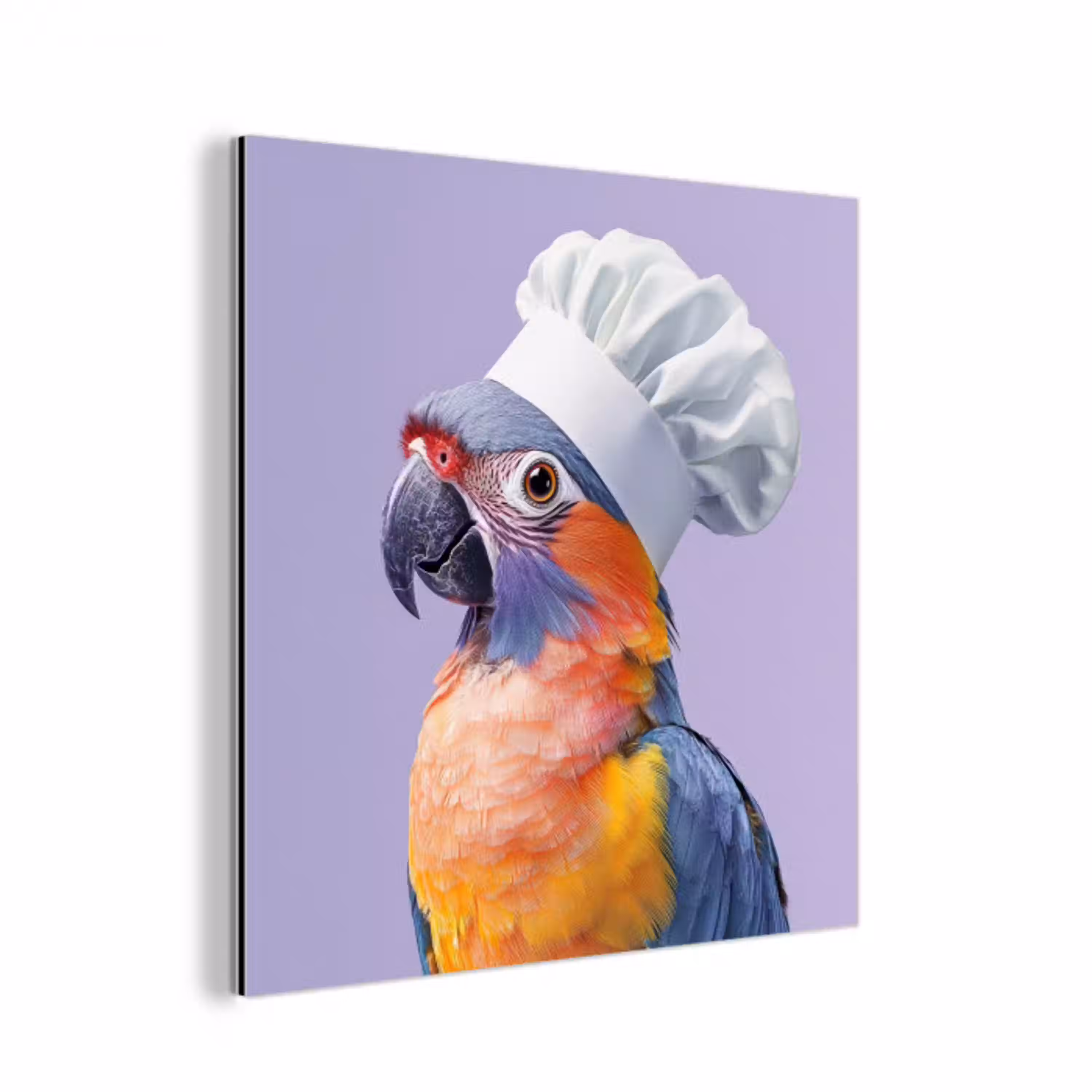 Papegaai - Koksmuts - Paars - Cute aluminium wit klein -3d