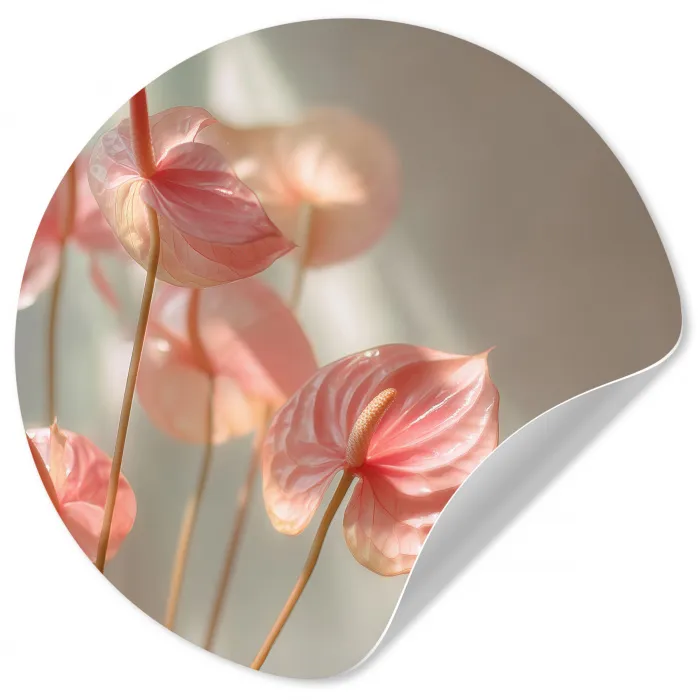 Bloemen - Stelen - Roze - Schaduw Wandcirkel behangsticker klein -3d