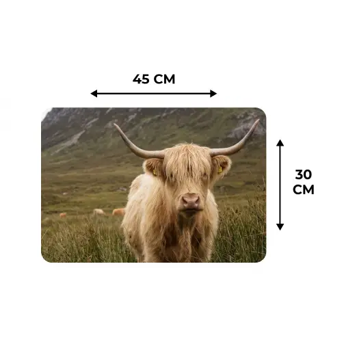 Schotse hooglander - Bergen - Grasveld Placemat vinyl groot -specs