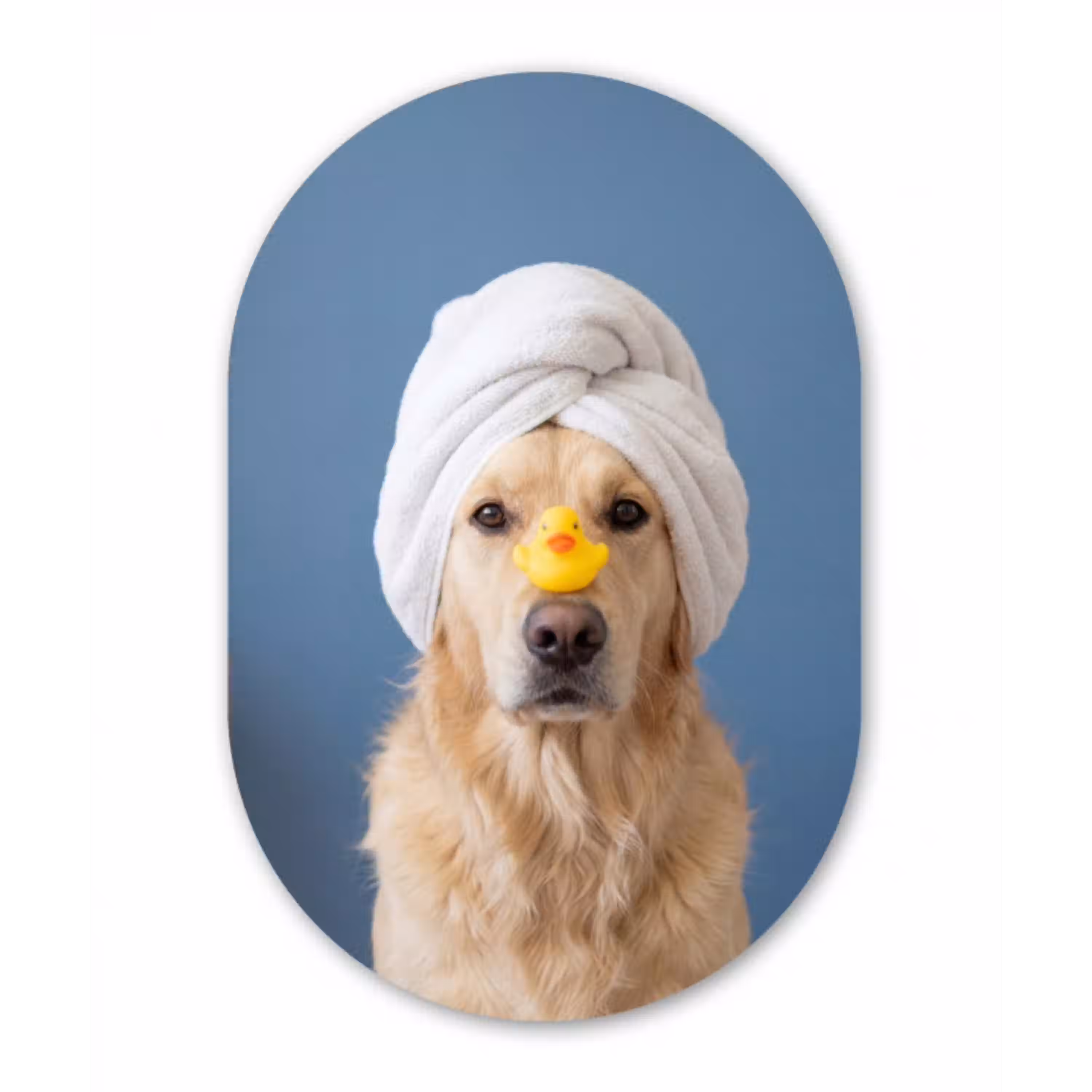 Hond - Badeend - Geel Wandcirkel Ovaal Aluminium middel -3d