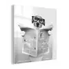 Hond - Krant - Toilet - Zwart wit - Dieren plexiglas 5mm klein -z3d
