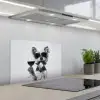 Hondje - Wijnglas - Zonnebril - Enthousiast keuken achterwand spatscherm klein -3d_schuin