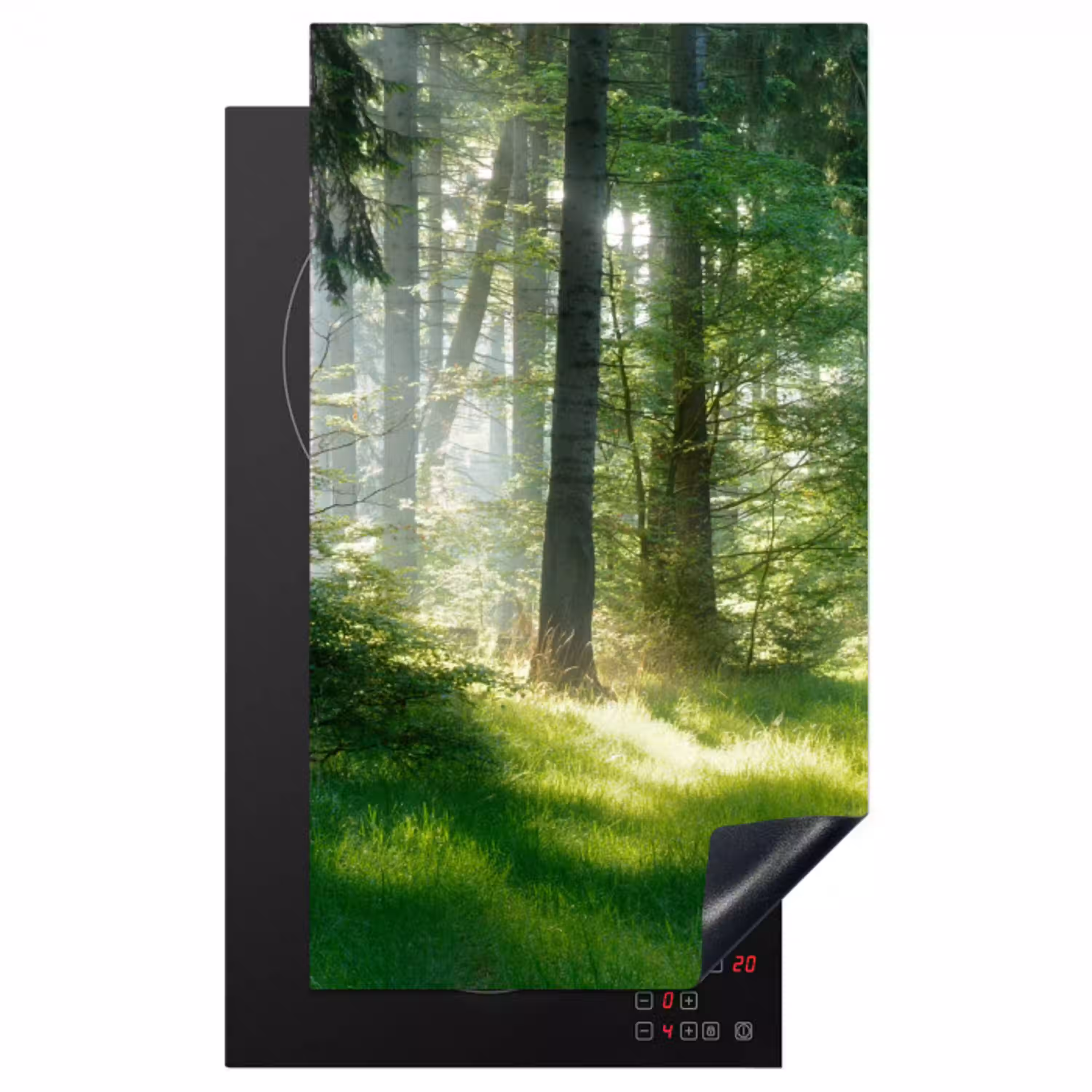 Natuur - Bomen - Bos - Groen - Zon - Gras - Planten Inductie beschermer vinyl 3mm middel -3d