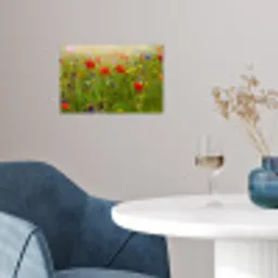 Lente - Bloemen - Rood - Klaproos - Gras - Groen poster papier klein -sfeer3