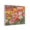 Bloemenveld - Klaprozen - Kleurrijk PET vilt klein -3d