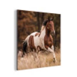 Paard - Bruin - Gras aluminium wit klein -3d