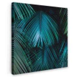Inductie beschermer - Inductie afdekplaat - Tropical - Jungle - Bladeren - Groen Tuinposter op houten frame 2 cm dik klein -3d