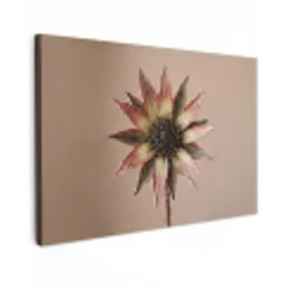 Droogbloem - Protea - Vintage - Beige - Rustiek canvas 2cm klein -z3d