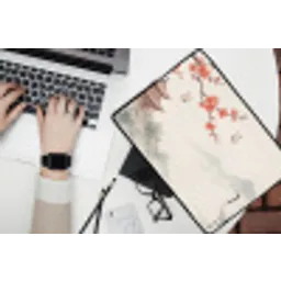 Kraanvogel - Azië - Klassiek laptophoes neopreen klein -bureau