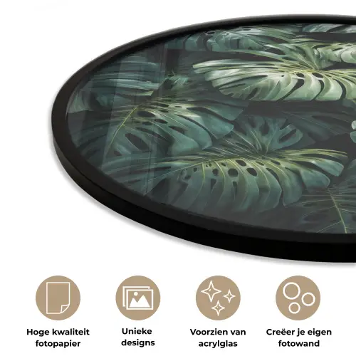 Plant - Monstera - Lichtinval Fotolijst rond zonder passe partout klein -closeup_NL