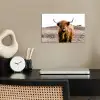 Schotse hooglander - Landschap - Koe - Bruin - Dieren - Natuur poster papier klein -sfeer1