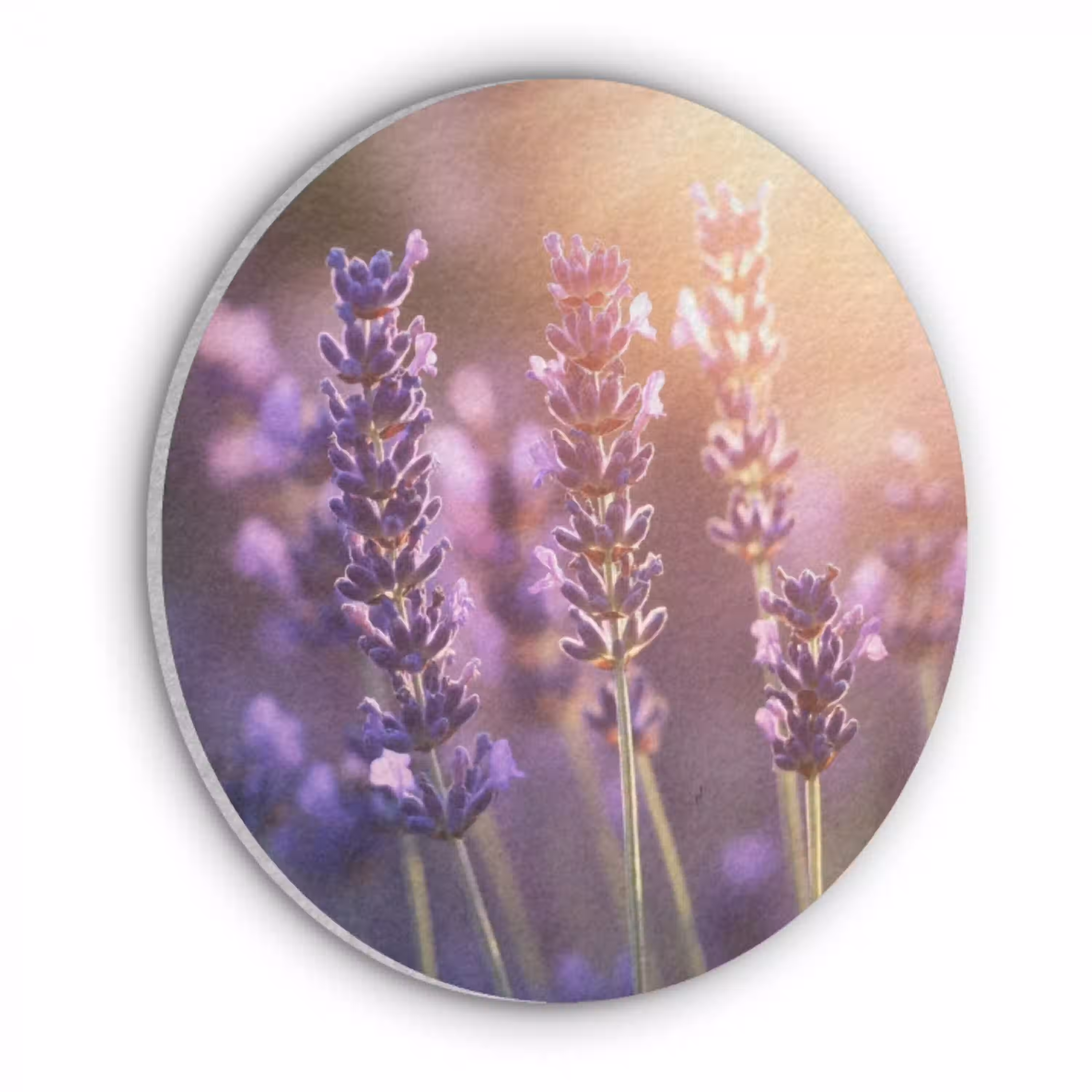 Lavendelbloemen - Paars - Zonlicht Akoestische PET Vilt - Rond klein -3d