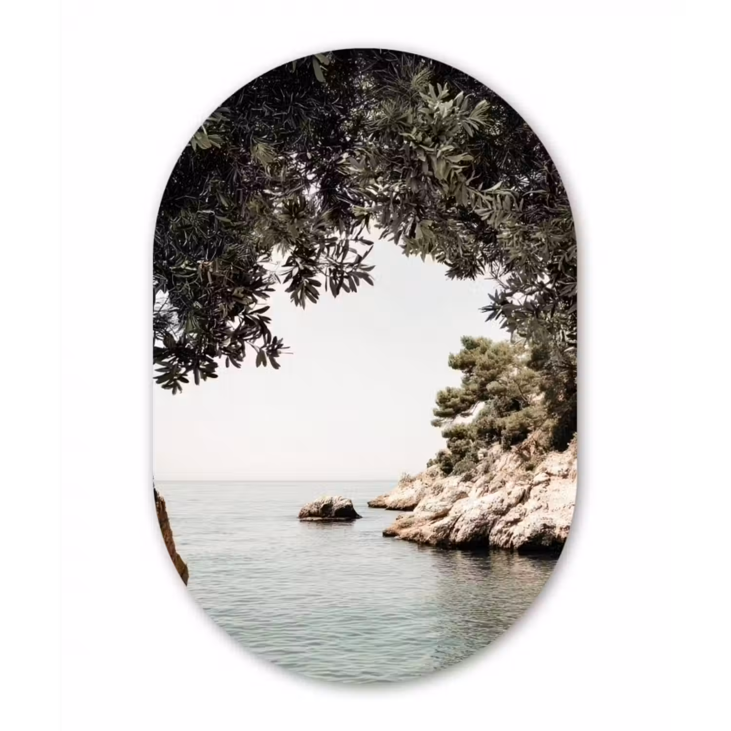 Glasbild Oval - Felsen - Meer - Baum - Grün