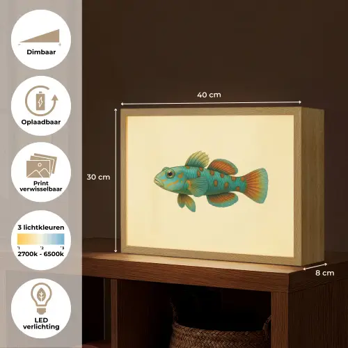 Vis - Blauw - Stippen - Schubben Light Box met batterij (Wandlamp) middel -USP_websiteoverzichtNL