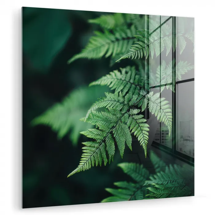 Varenblad - Groen - Structuur - Wazig plexiglas 5mm klein -zzzproduct_nieuw
