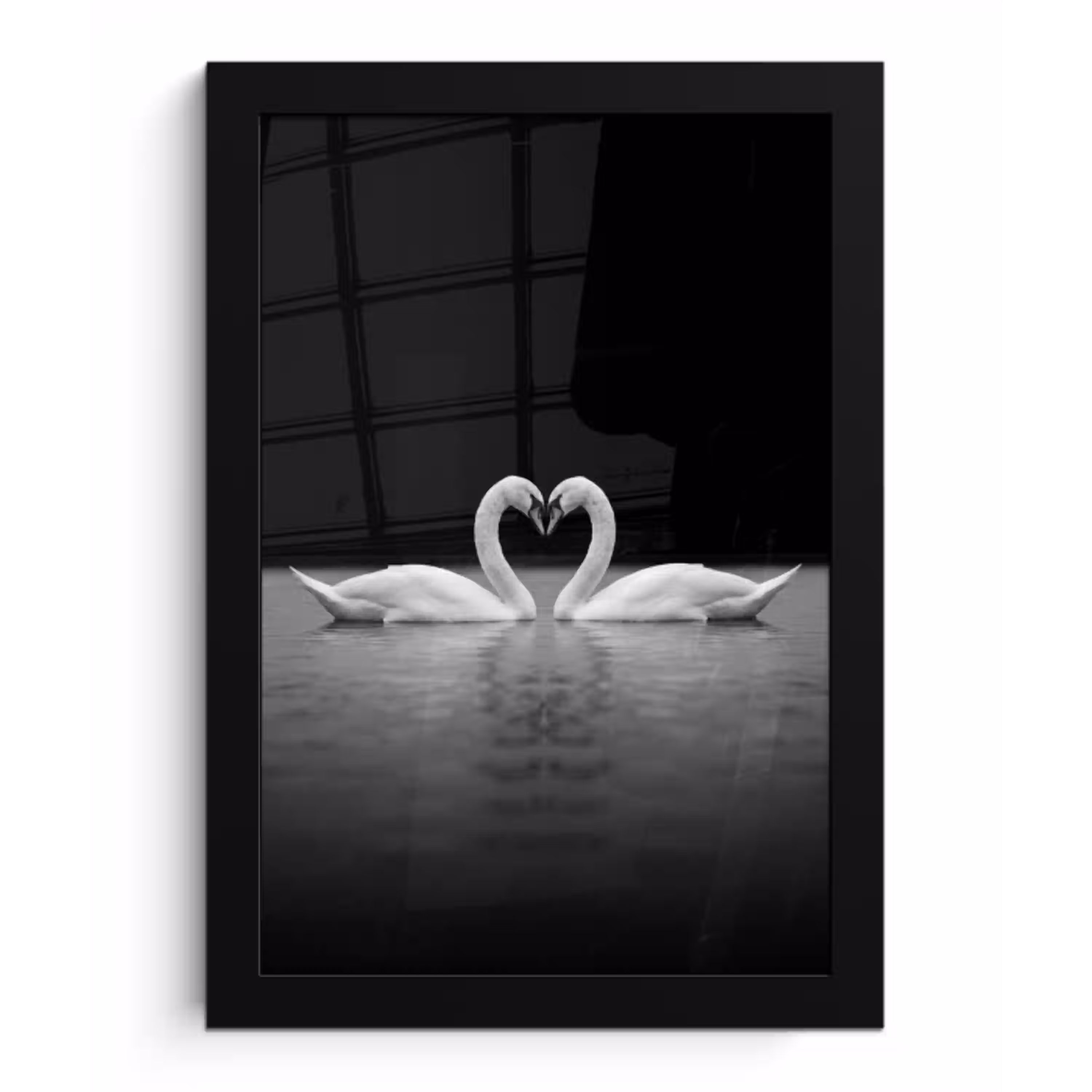Zwanen - Hart - Zwart - Wit fotolijst zwart zonder passe partout klein -3d