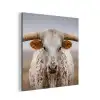 Longhorn - Grasveld - Dier aluminium wit klein -3d