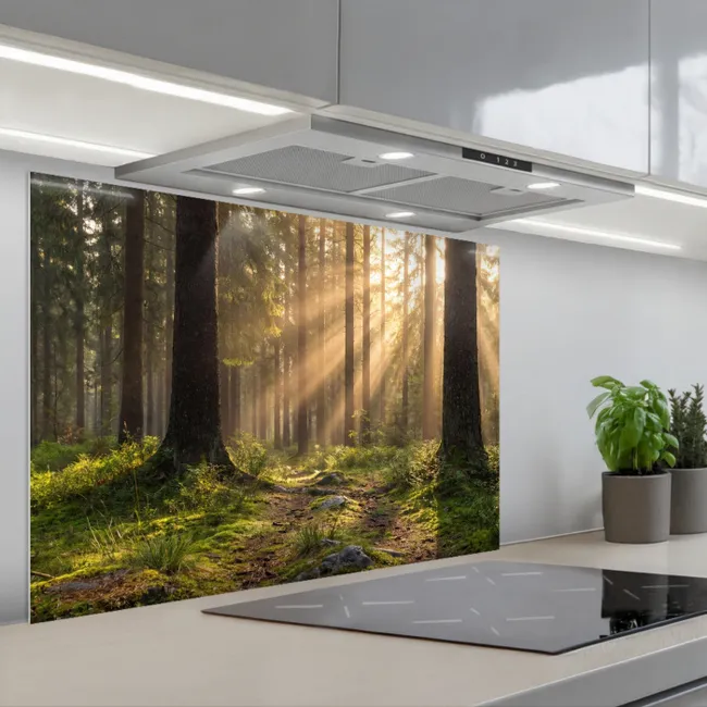 Spatscherm keuken - Bos - Zonlicht - Gras