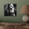Paard - Schimmel - Portret aluminium wit klein -sfeer2