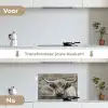 Schotse hooglander - Zwart - Wit - Hout keuken achterwand spatscherm klein -voor_na_NL