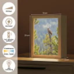 Uil - Oehoe - Bomen - Natuur Light Box met kabel (Kinderlampje) klein -USP_NL