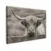 Schotse hooglander - Zwart - Wit - Hout canvas 2cm klein -z3d