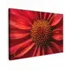 Close up - Bloem- Rood Tuinposter op houten frame 2 cm dik klein -3d