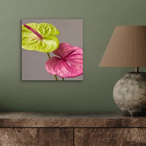 Planten - Anthurium - Groen - Roze aluminium wit klein -sfeer2