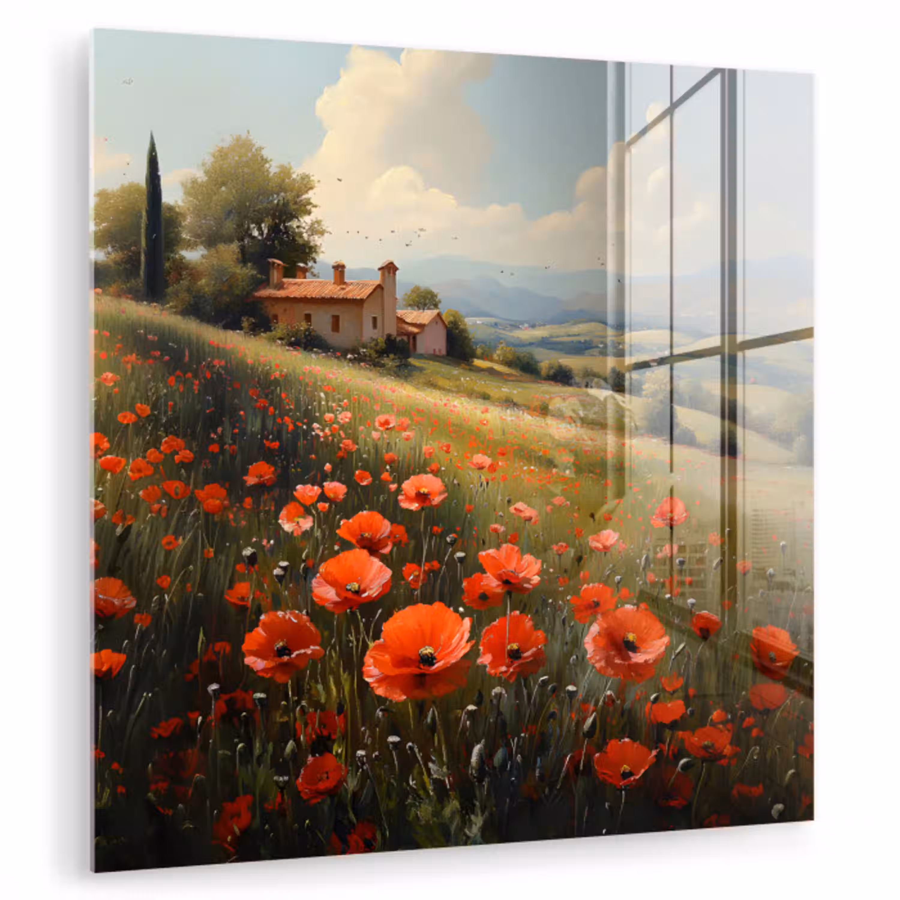 Klaprozen - Rood - Heuvels - Landschap plexiglas 5mm klein -zzzproduct_nieuw