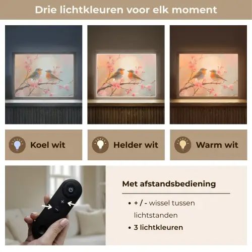 Roodborstjes - Sierlijk - Bloesemtak Light Box met batterij (Wandlamp) middel -USP_lichtkleurNL
