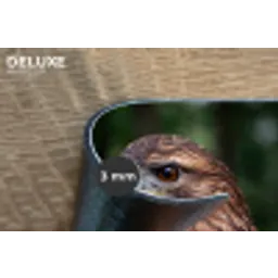 Buizerd - Roofvogel - Natuur - Bruin Placemat vinyl groot -closeup