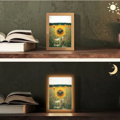 Zonnebloem - Veld - Zonnebril Light Box met kabel (Tafellamp) klein -sfeer3