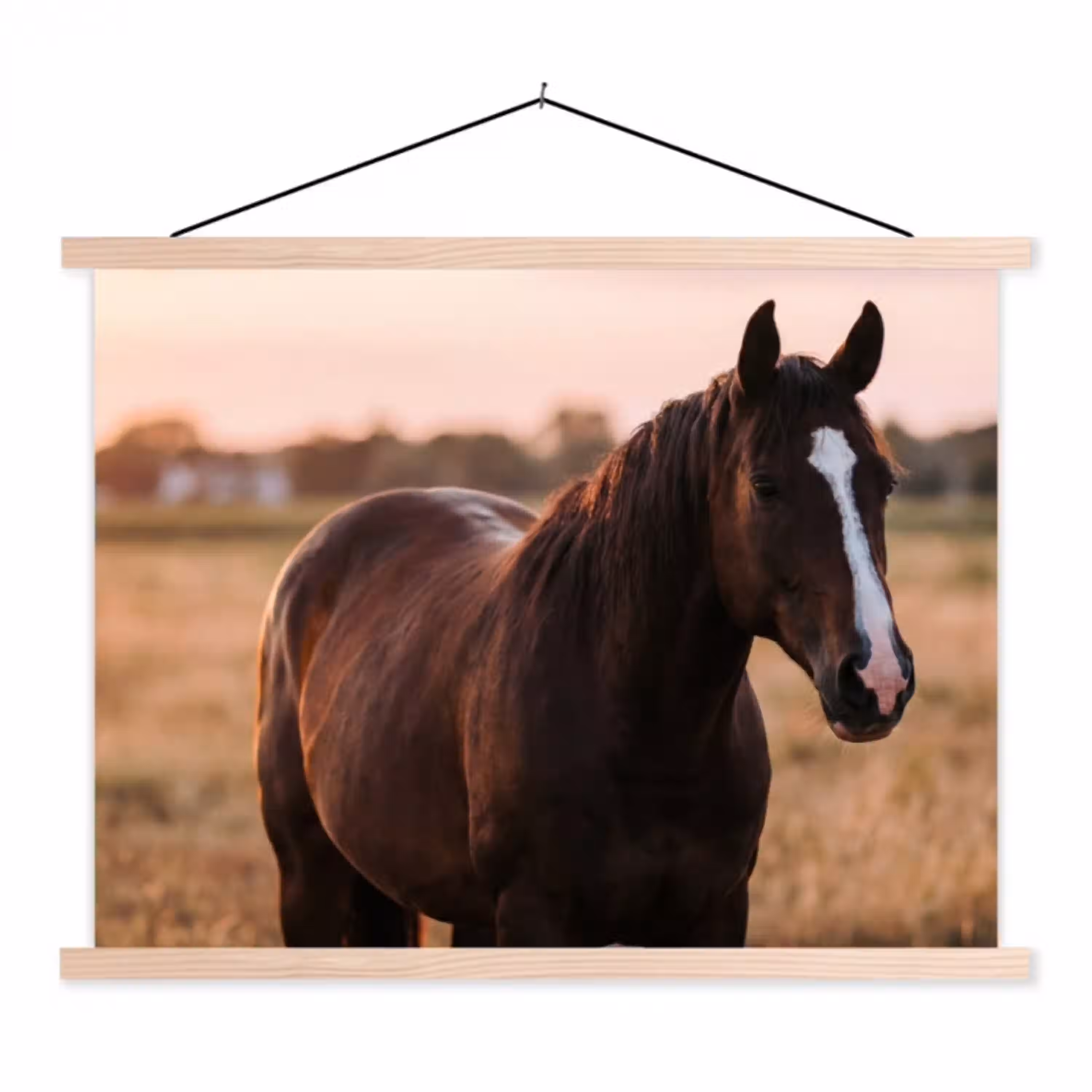Paard - Zonsondergang - Bruin textielposter latten blank klein -3d