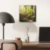 Bos - Bomen - Pad - Zon - Planten - Bladeren - Natuur plexiglas 5mm klein -sfeer6
