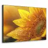 Zonnebloem - Dauwdruppels - Geel - Zonlicht Textielframe zwart klein -3d