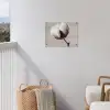 Katoenbol - Minimalistisch - Wit tuinposter los doek klein -sfeer8