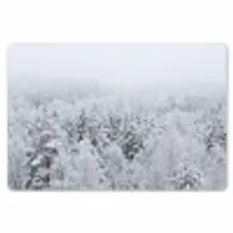 Bos - Sneeuw - Winter - Natuur - Wit Placemat vinyl groot -zzsfeer1_Kitchenyeah-website