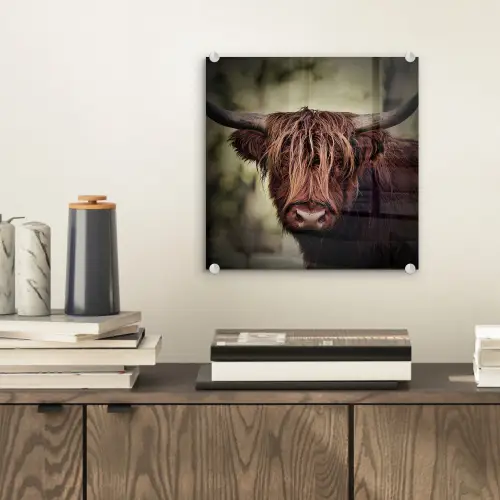 Schotse hooglander - Licht - Portret - Natuur plexiglas 5mm klein -sfeer1