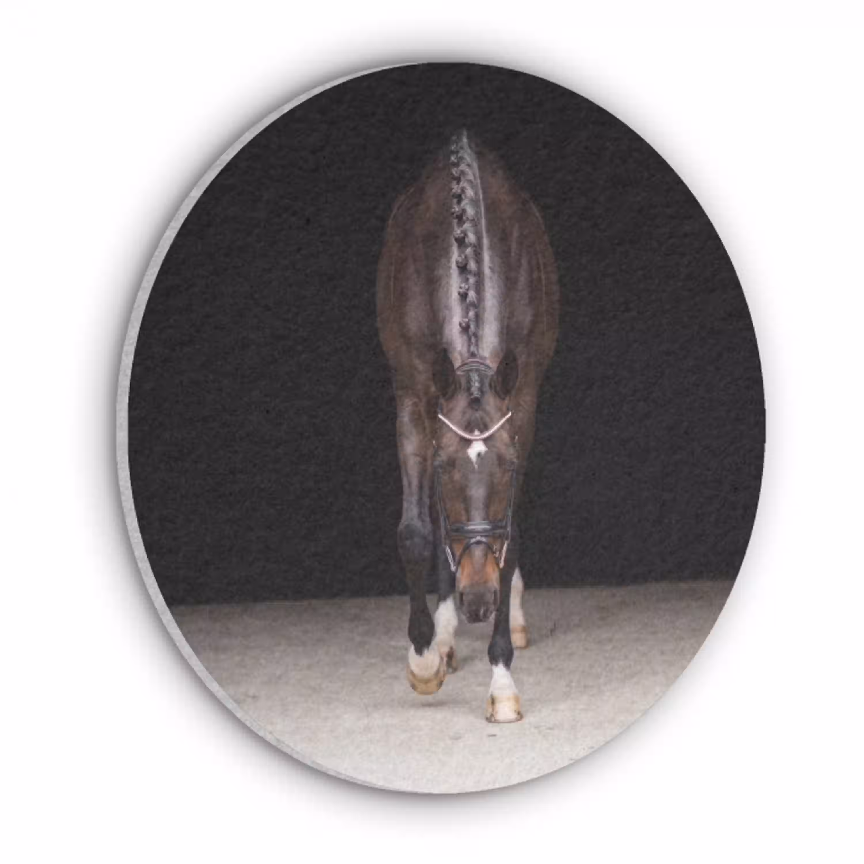 Paard - Modern - Portret Akoestische PET Vilt - Rond klein -3d
