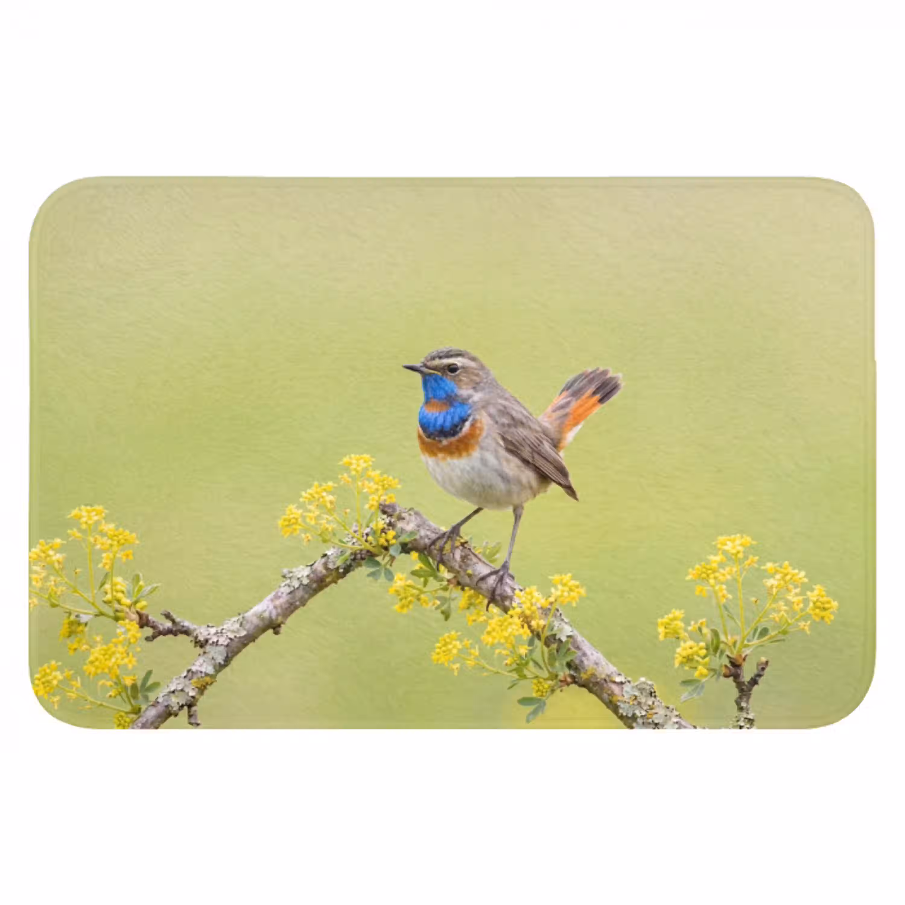 Vogel - Tak - Natuur - Kleurrijk Badmat klein -3d
