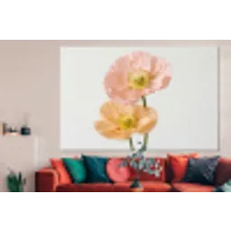 Papavers - Botanisch - Roze forex 5mm xxl -woonkamer